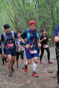 BIB: 2900, 7338, 2259
                            <button type="button" onclick="openModal(4130071)" class="btn btn-primary btn-sm float-right btn-popup" data-toggle="modal" data-target=".modal-high-quality">
                        <i class="fas fa-shopping-cart"></i> Add to Cart
                    </button>
                                            <button type="button" onclick="isThisMe(4130071, true)" class="btn btn-success btn-sm float-right btn-popup btn-isme hidden" data-toggle="tooltip" data-placement="bottom" title="นี่คือรูปของคุณใช่ไหม คลิกที่นี่เพื่อเอาเข้าอัลบั้ม">
                        <i class="fas fa-plus"></i> Add to album
                    </button>
                    <button type="button" onclick="isThisMe(4130071, false)" class="btn btn-warning btn-sm float-right btn-popup btn-isnotme hidden">
                        <i class="fas fa-ban"></i> Remove from album
                    </button>